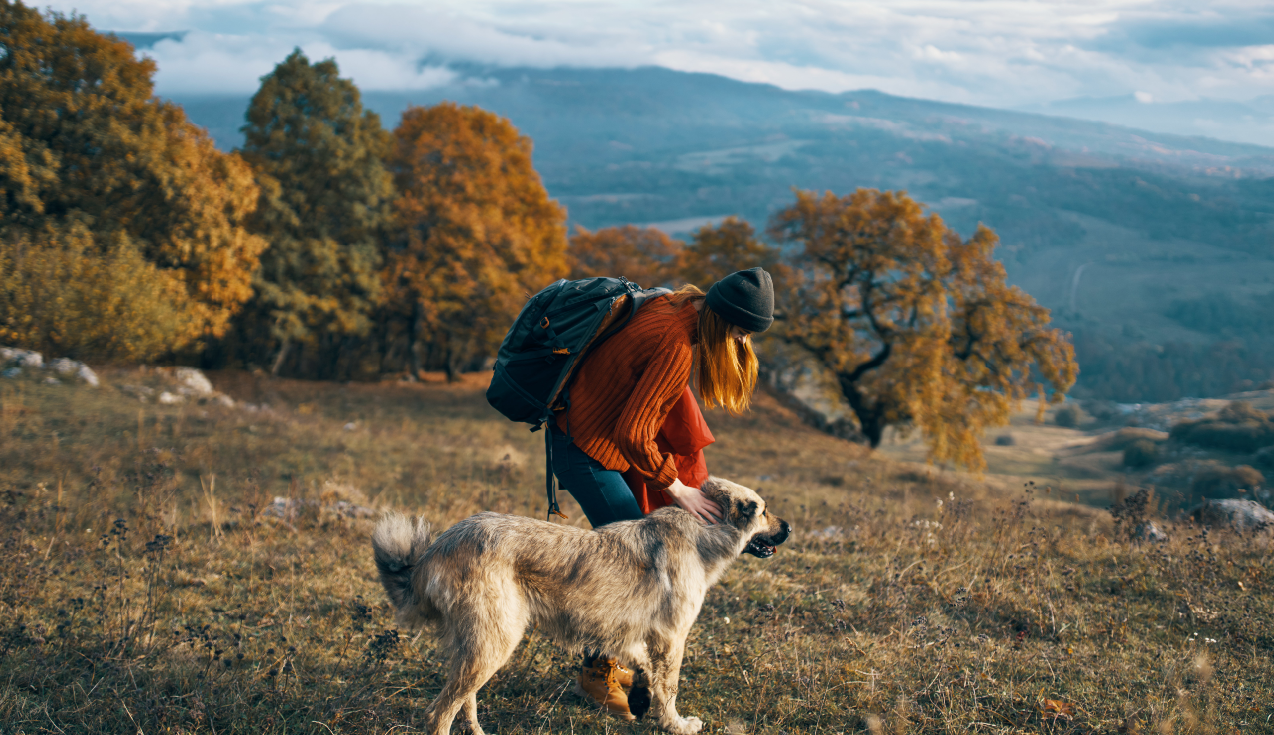<strong>Twoja podróż zaczyna się tutaj</strong>