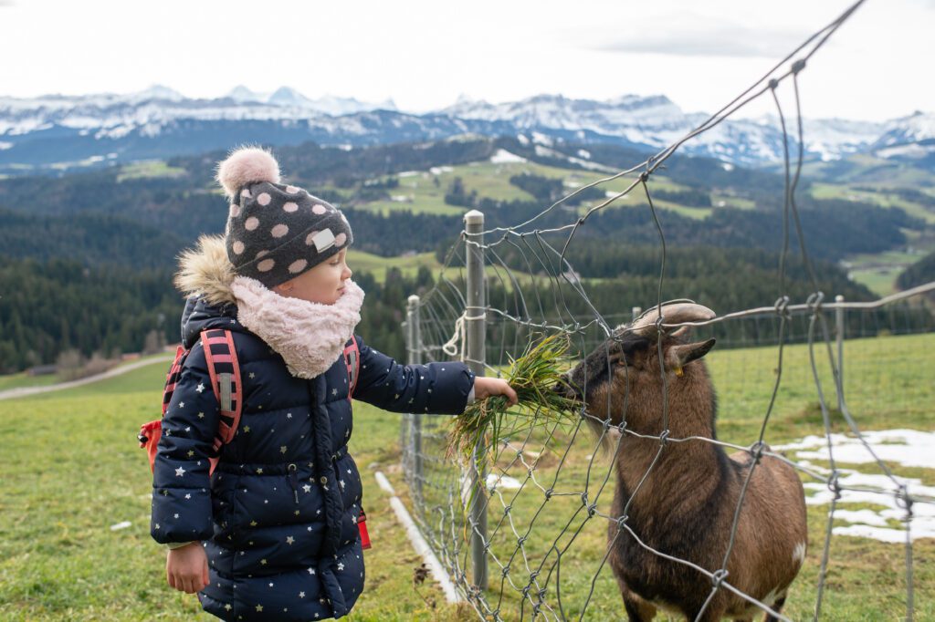zakopane dla dzieci