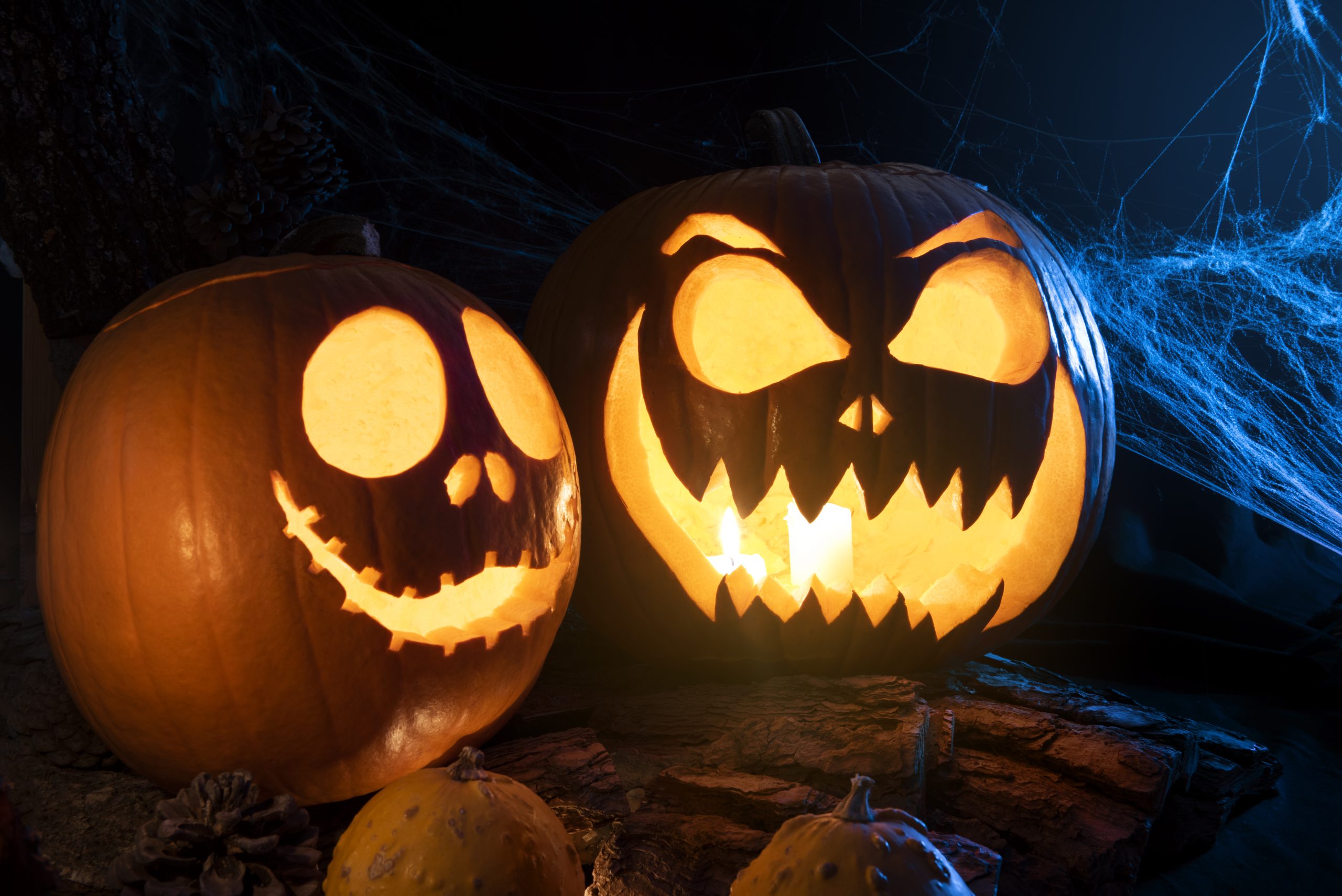 Rent an apartment for Halloween